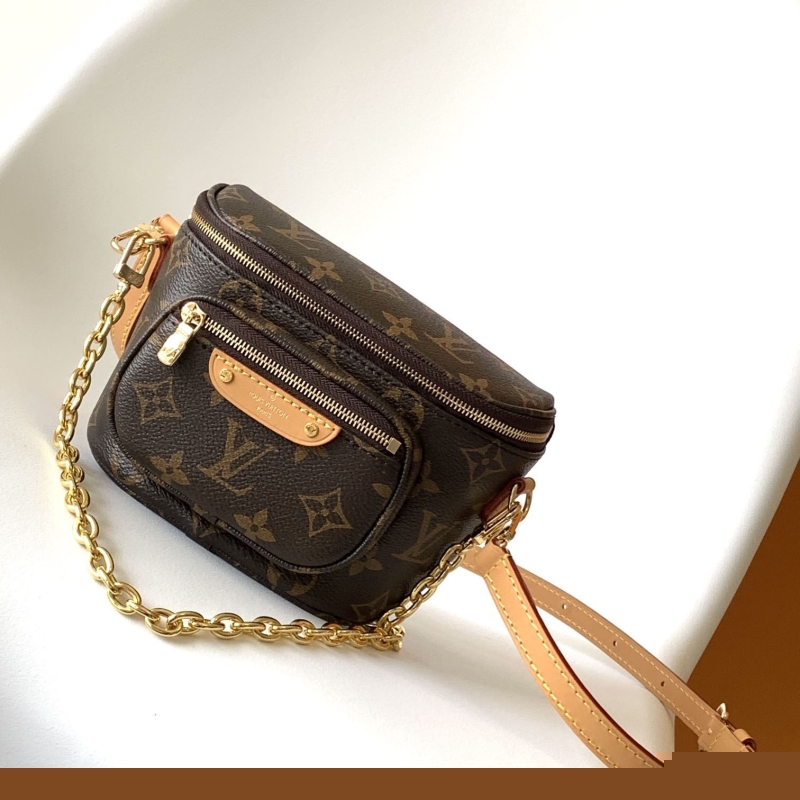LV Satchel bags